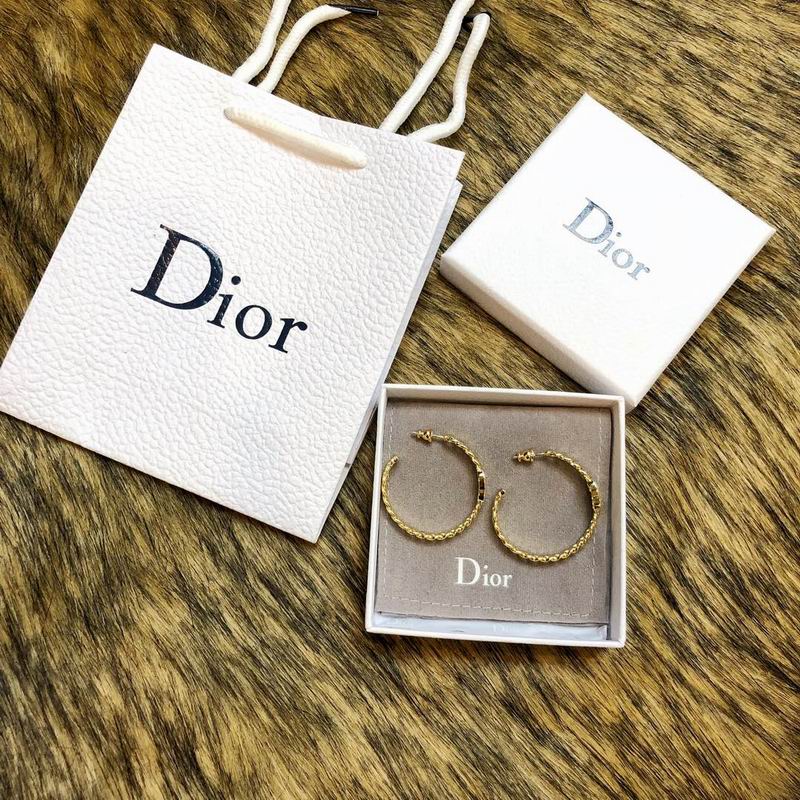 Dior Earring 03lyr149